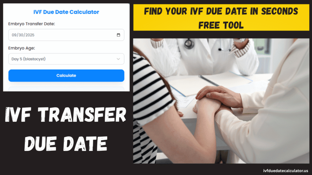 ivf transfer due date