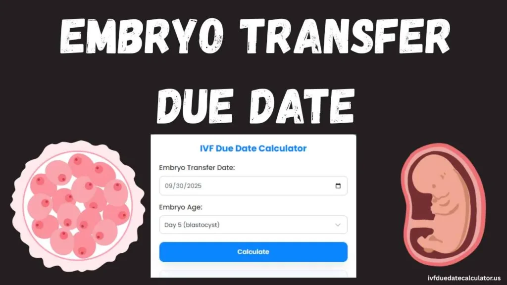 embryo transfer due date