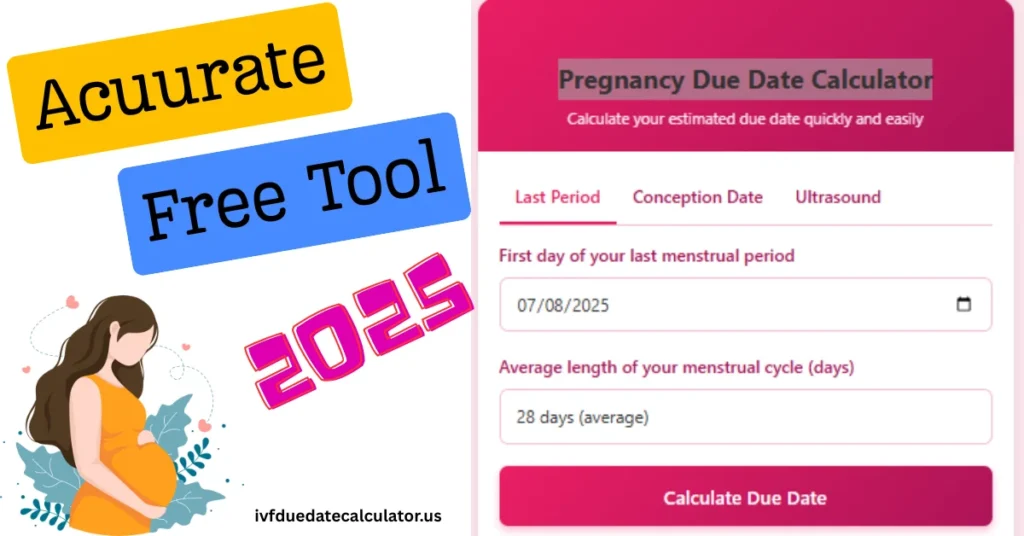 Pregnancy Due Date Calculator showing estimated delivery date based on last menstrual period, conception date, or IVF transfer for expecting mothers.
