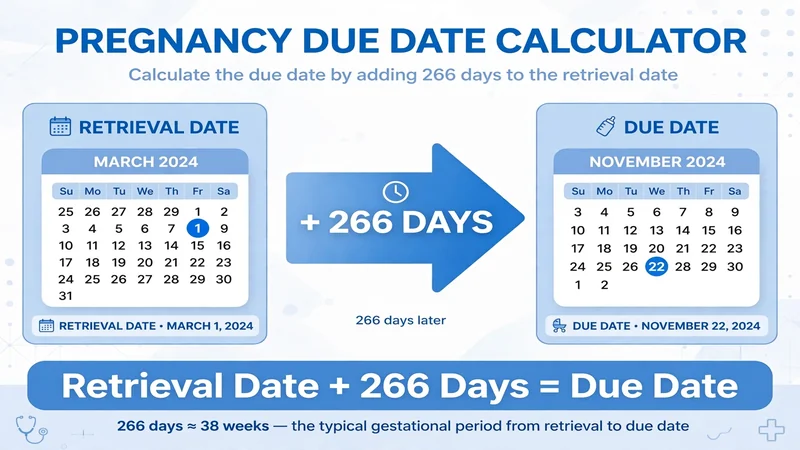 IVF retrieval date formula retrieval date plus 266 days equals due date